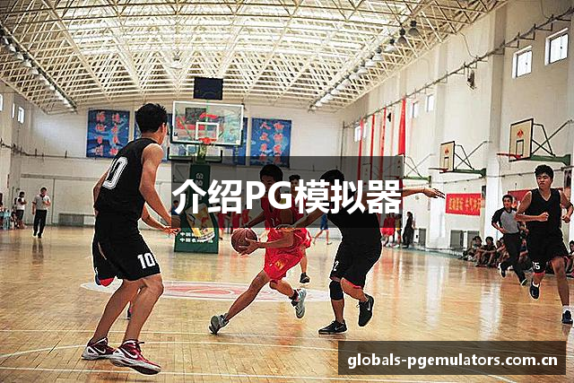 介绍PG模拟器